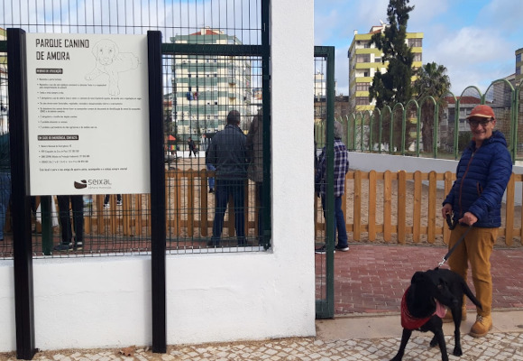 Parque Canino de Amora: um espaço de lazer e exercício para amigos de quatro patas